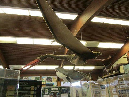 Humboldt State University Natural History Museum